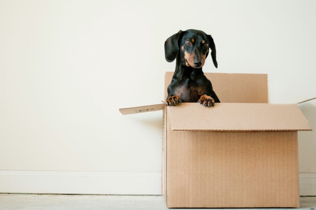 what to pack first