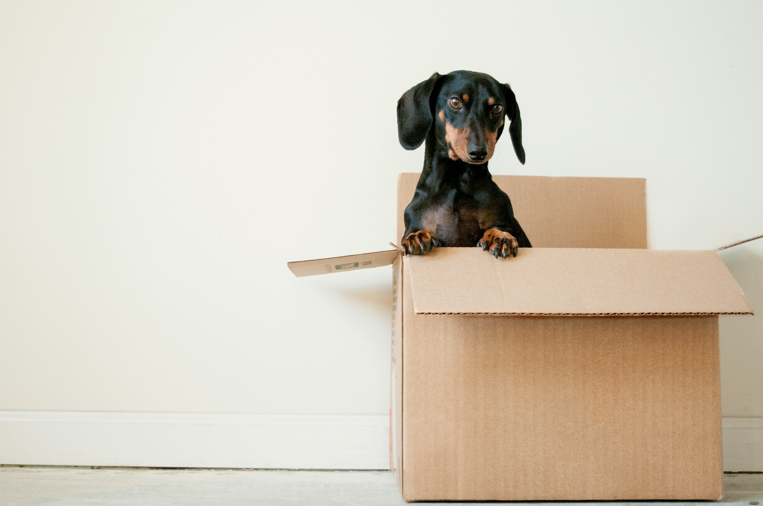 what to pack first